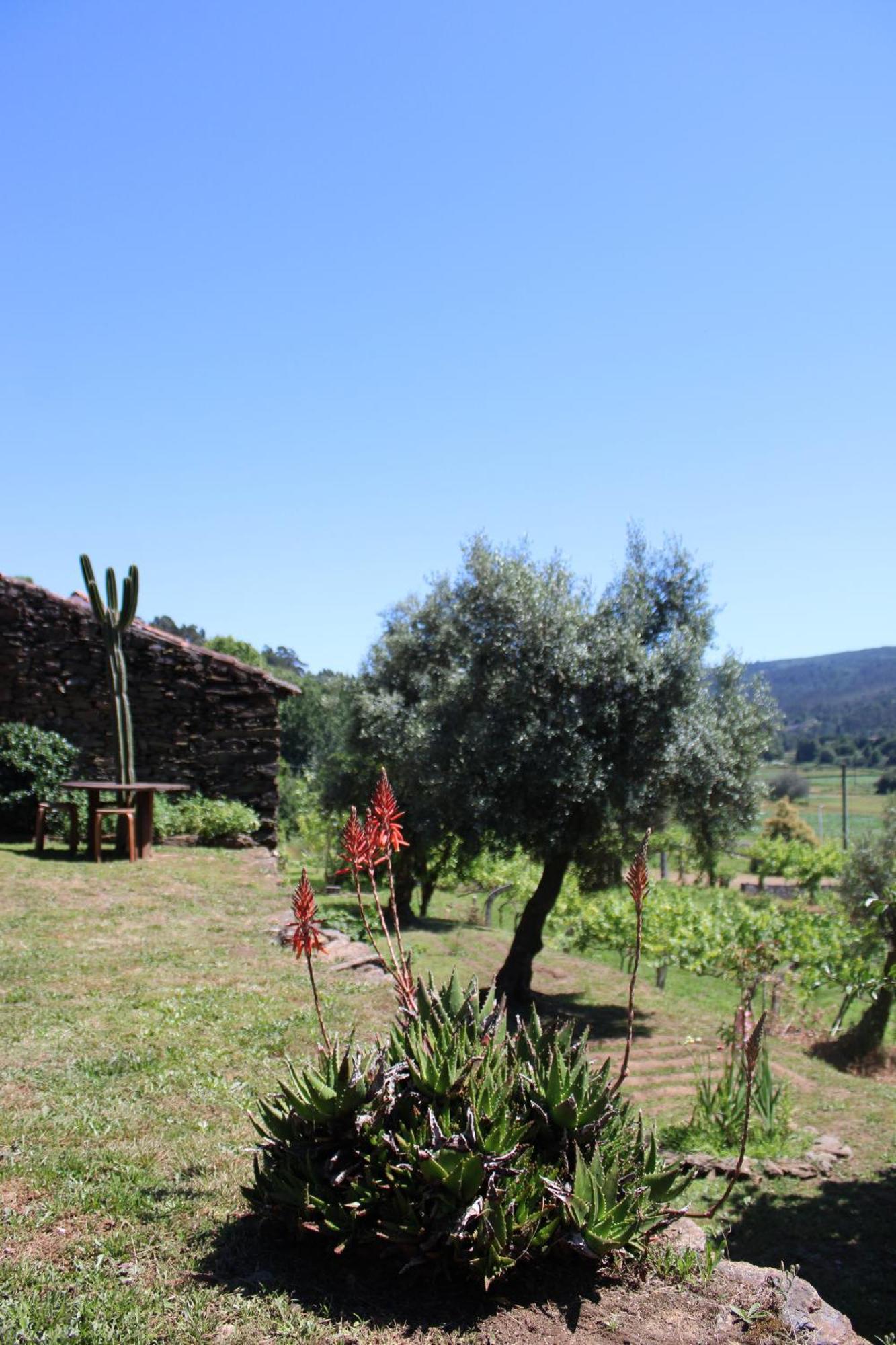 Lugar da Lourida Caminha Exterior foto